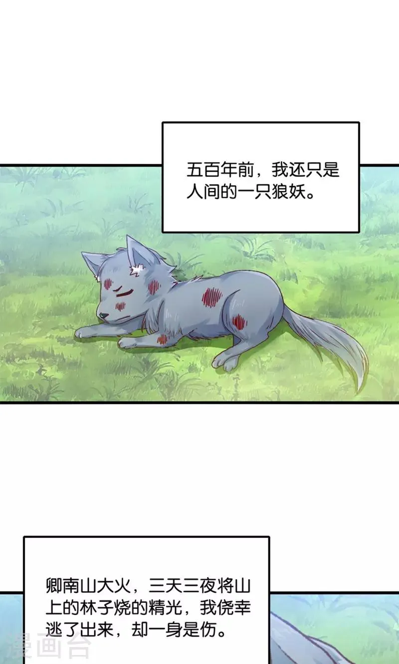 第31话 小狼崽的前尘往事 第13页