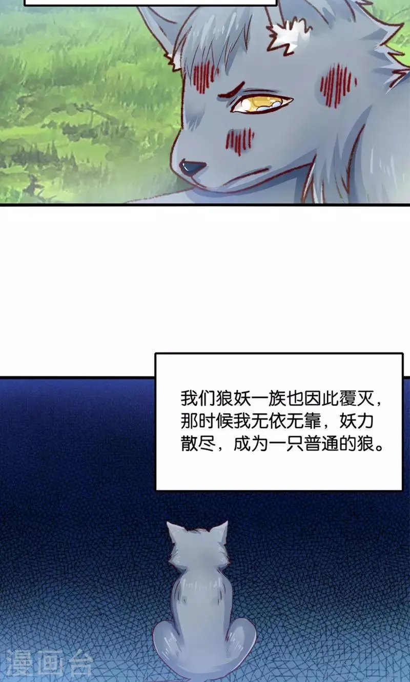 第31话 小狼崽的前尘往事 第14页
