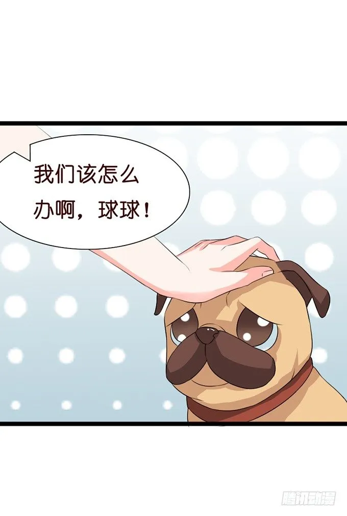 若你在我身边该多好 第65页