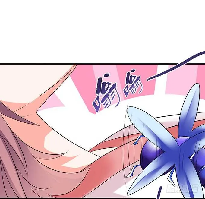 美男们的正牌之争 第8页