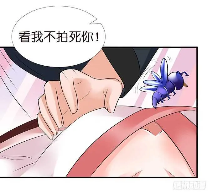 美男们的正牌之争 第13页