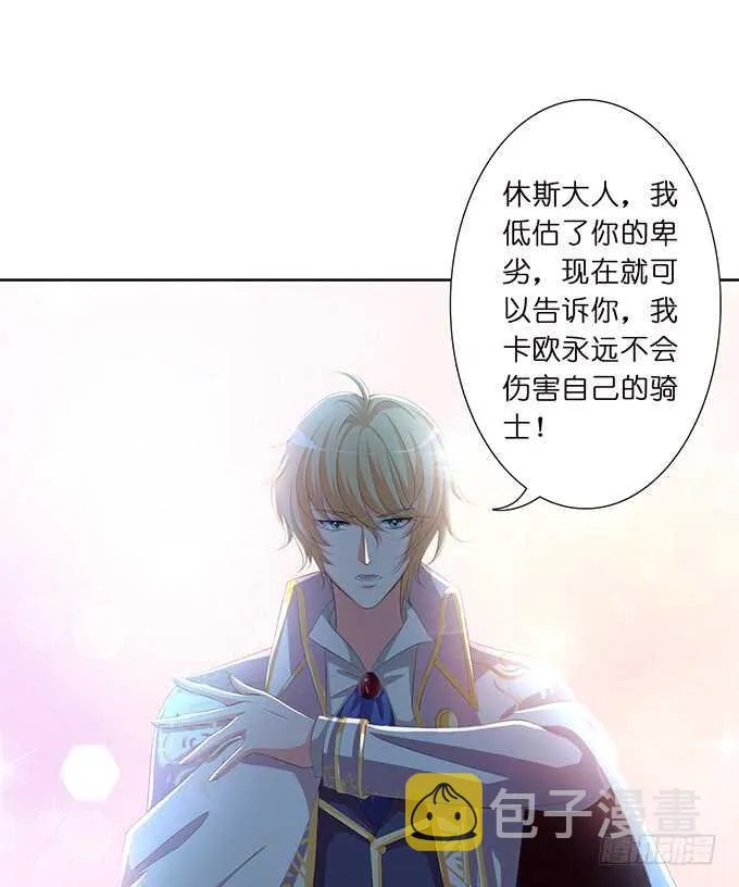 王子与骑士的游戏 第52页