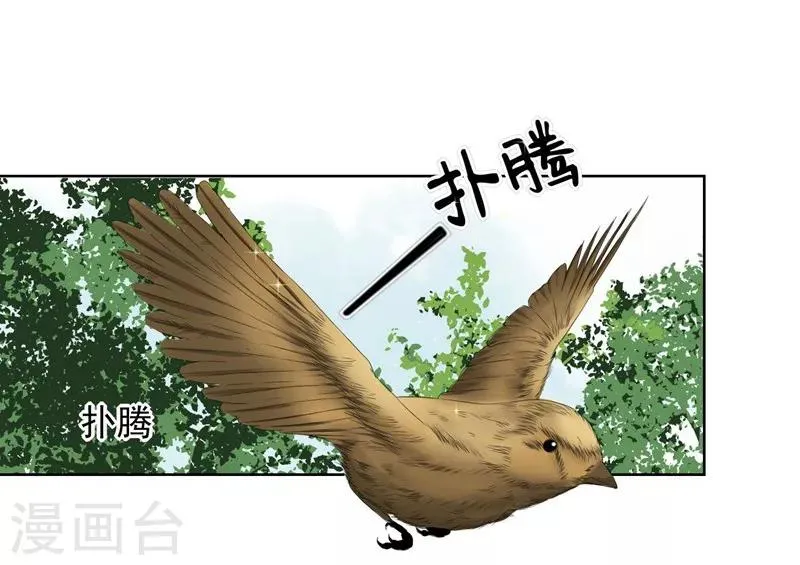 第23话 来决斗吧！秦简兮！ 第1页