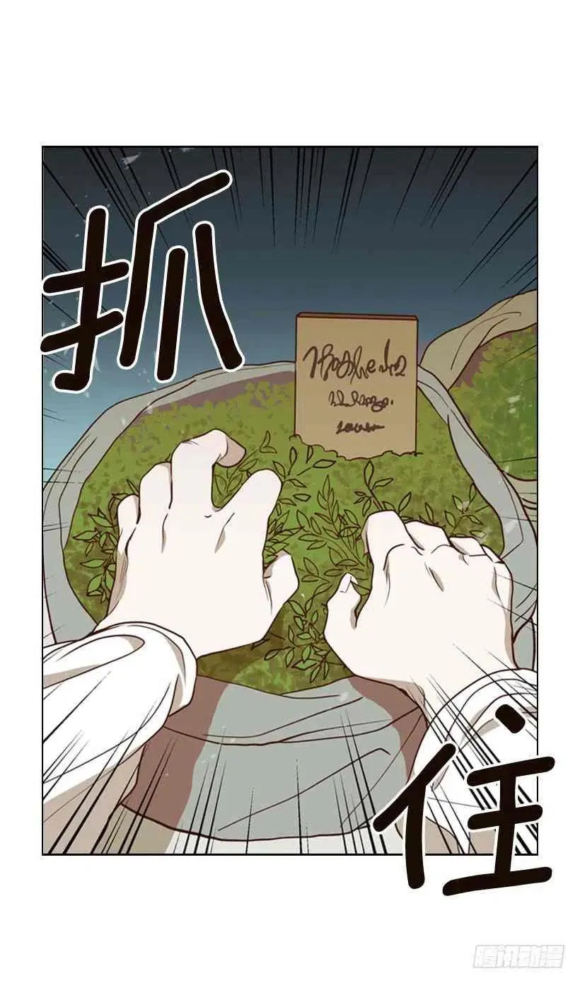 1.第一季开篇 第74页