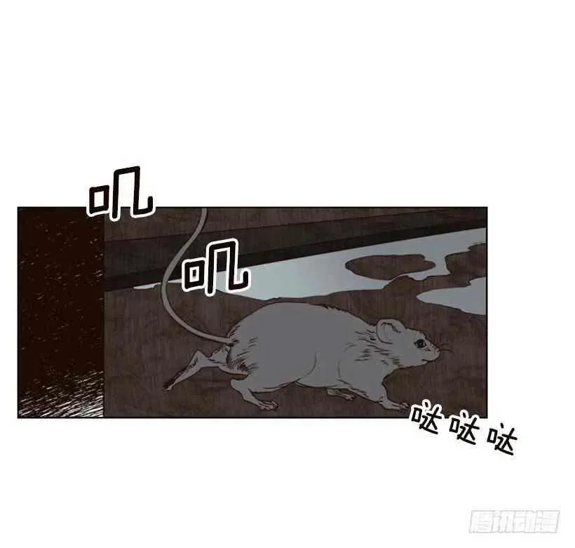 2.丢弃尊严也要活下去 第3页