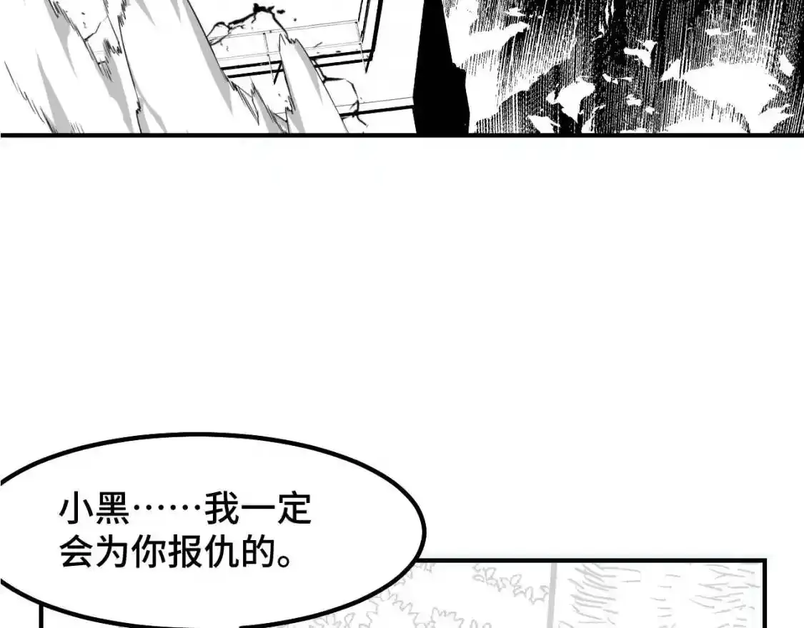 请个假，下周四复更 第14页