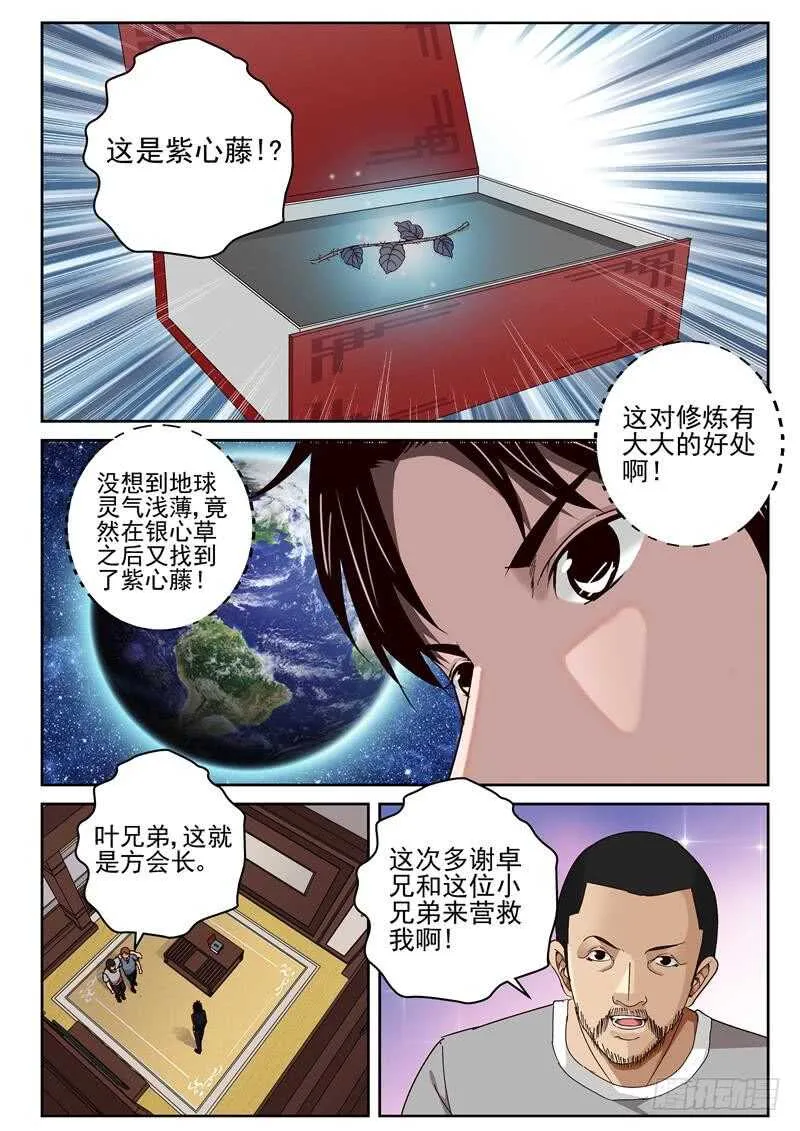 43 紫心藤 第8页