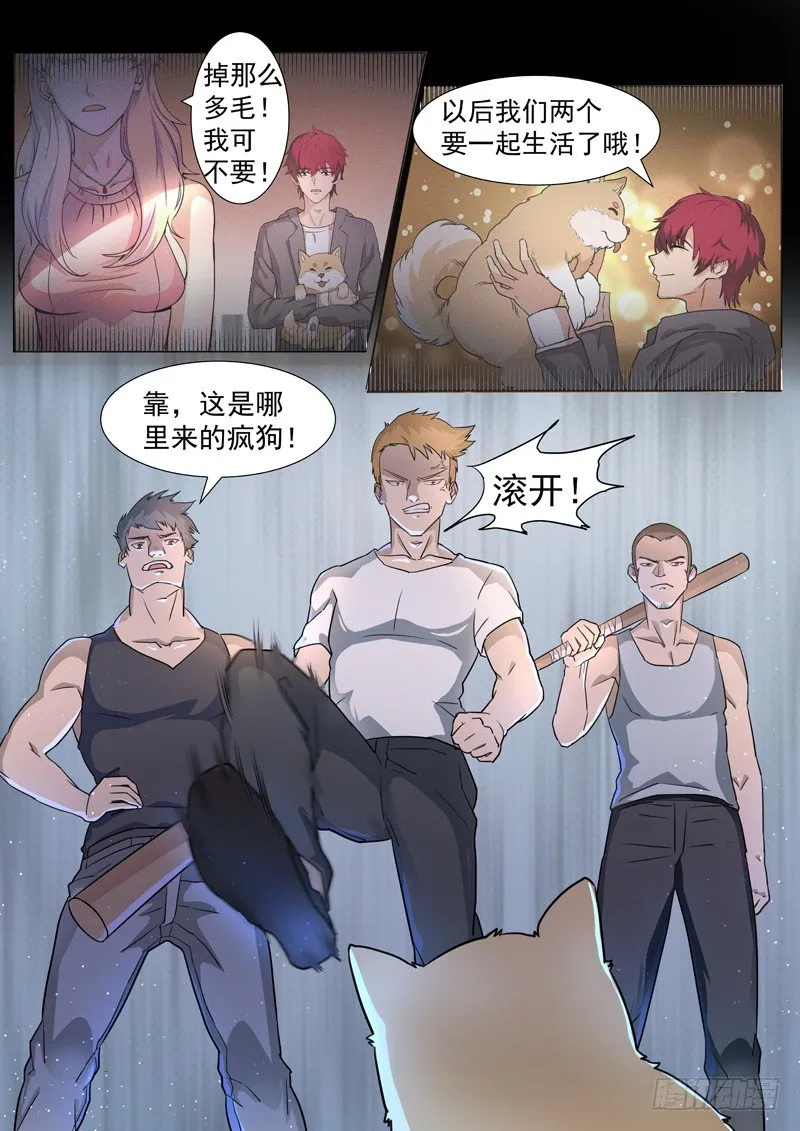 第二话 忠犬花卷 第3页