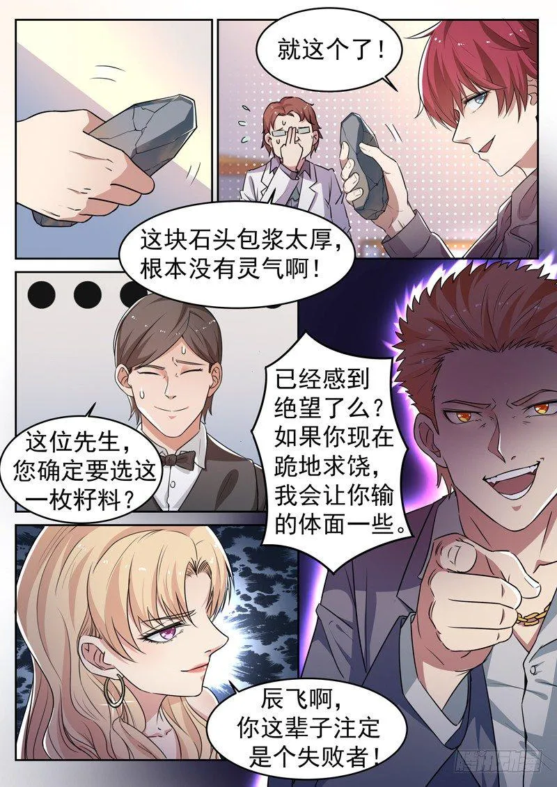 第六话 极品灵石 第6页