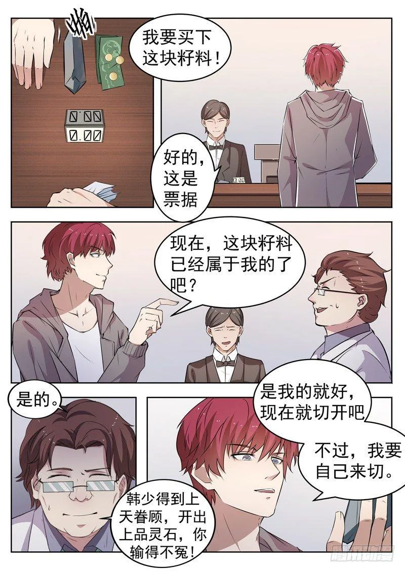 第六话 极品灵石 第8页