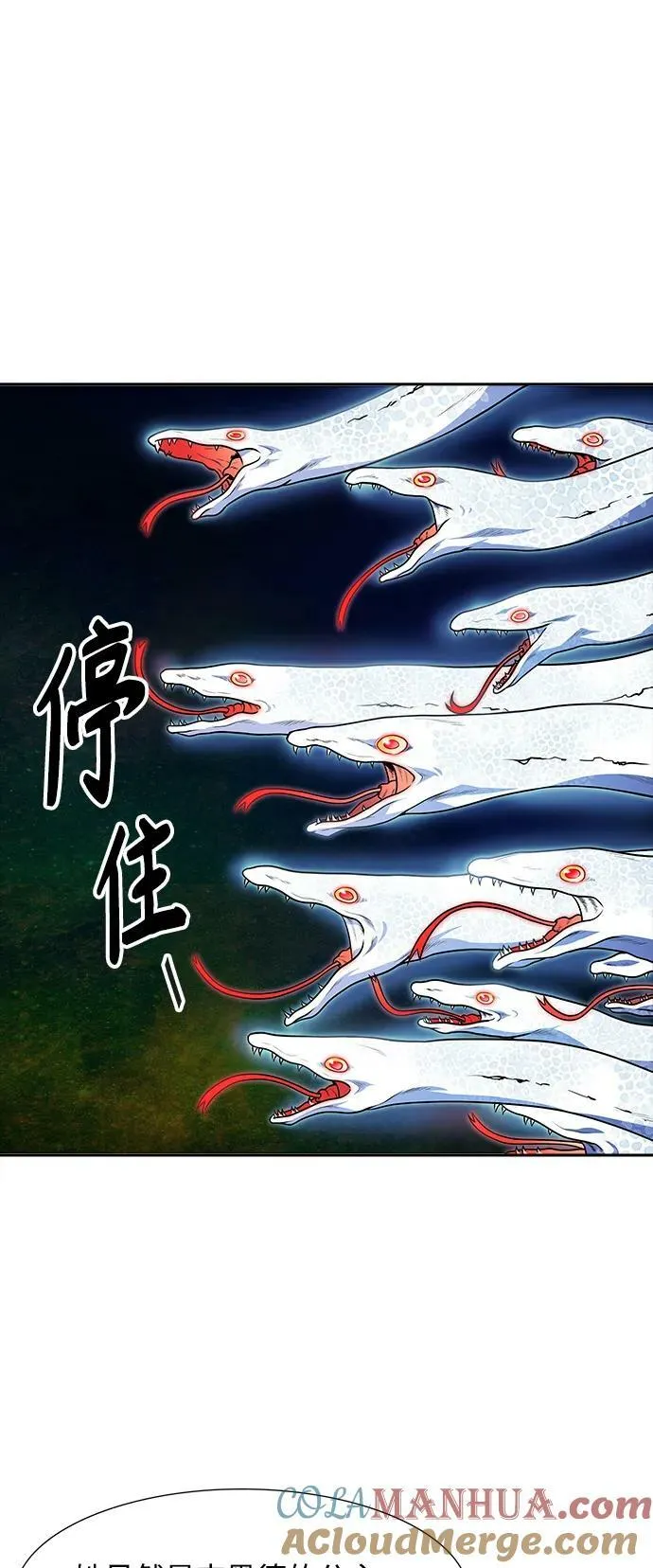 [第3季] 第146话 -新的参赛者 第70页
