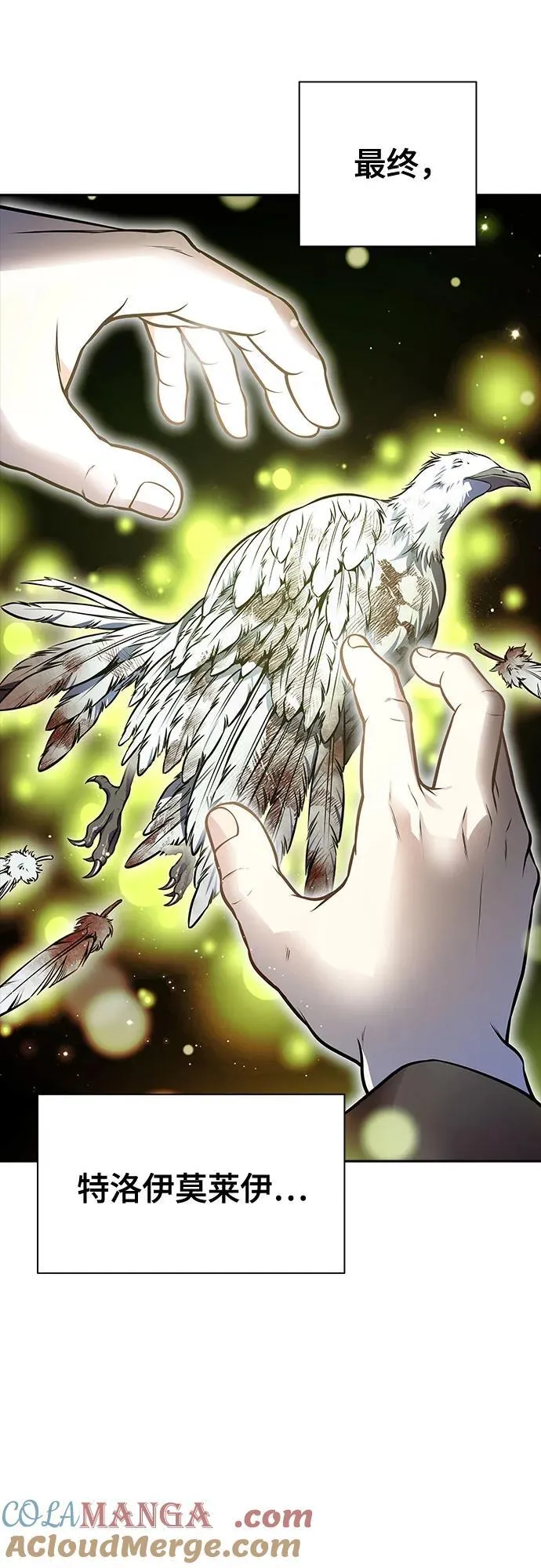 [第3季] 第215话 -族长的战斗 波·维多·古斯特昂的记忆碎片 1 第49页