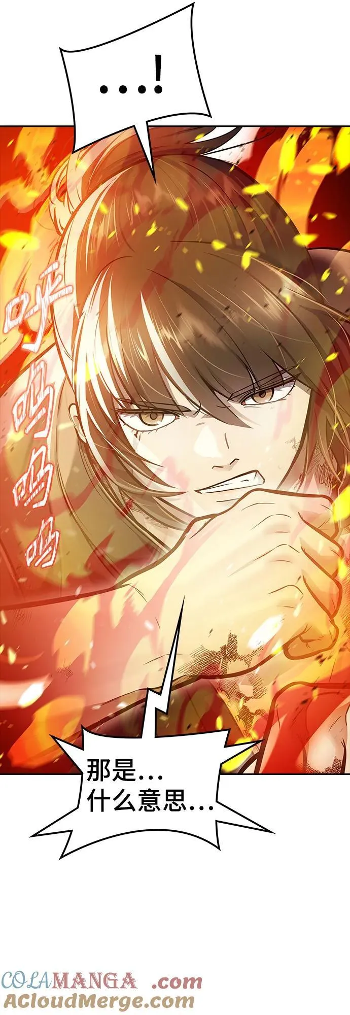[第3季] 第221话 - 族长的战斗 特洛伊莫莱伊VS古斯特昂 6 第25页
