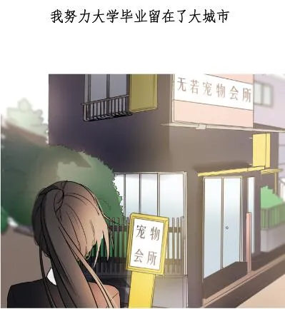 预告 第3页
