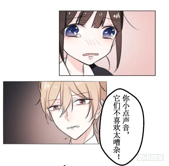 这么怕宠物还想做管家? 第3页