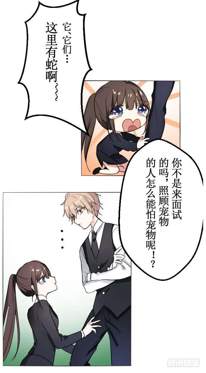 这么怕宠物还想做管家? 第4页