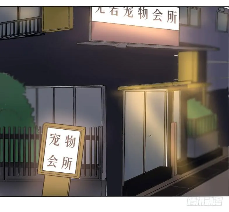 见、见习女仆?! 第2页