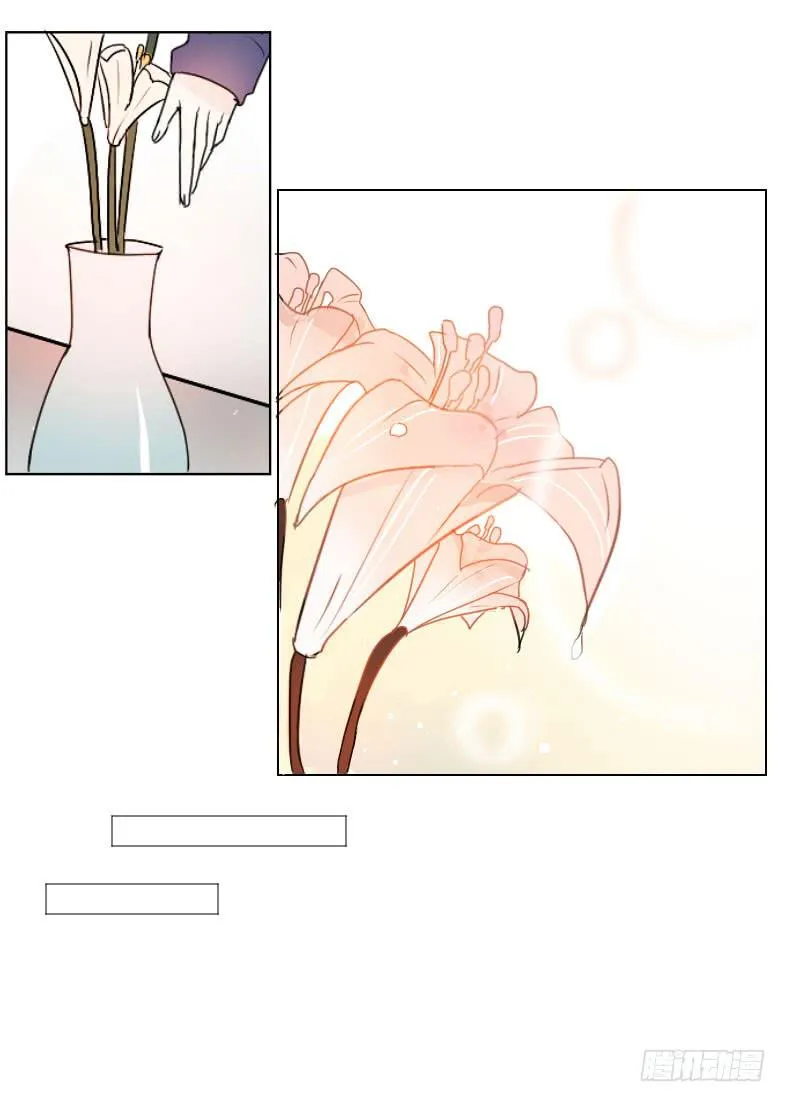 见、见习女仆?! 第13页
