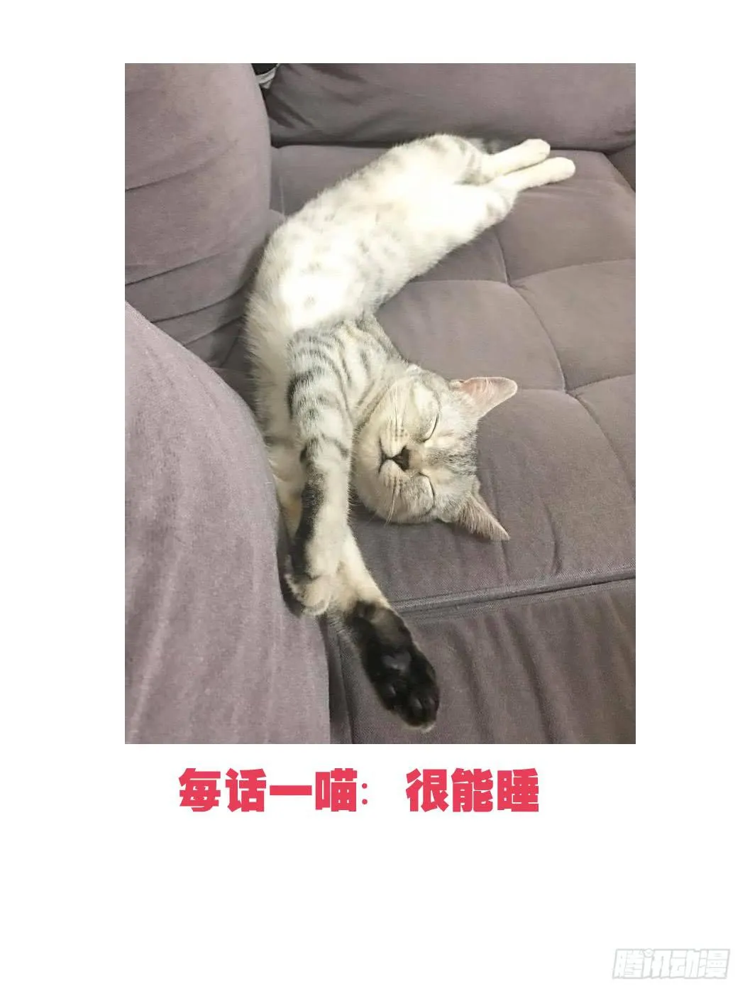 这个计划居然是…?! 第30页