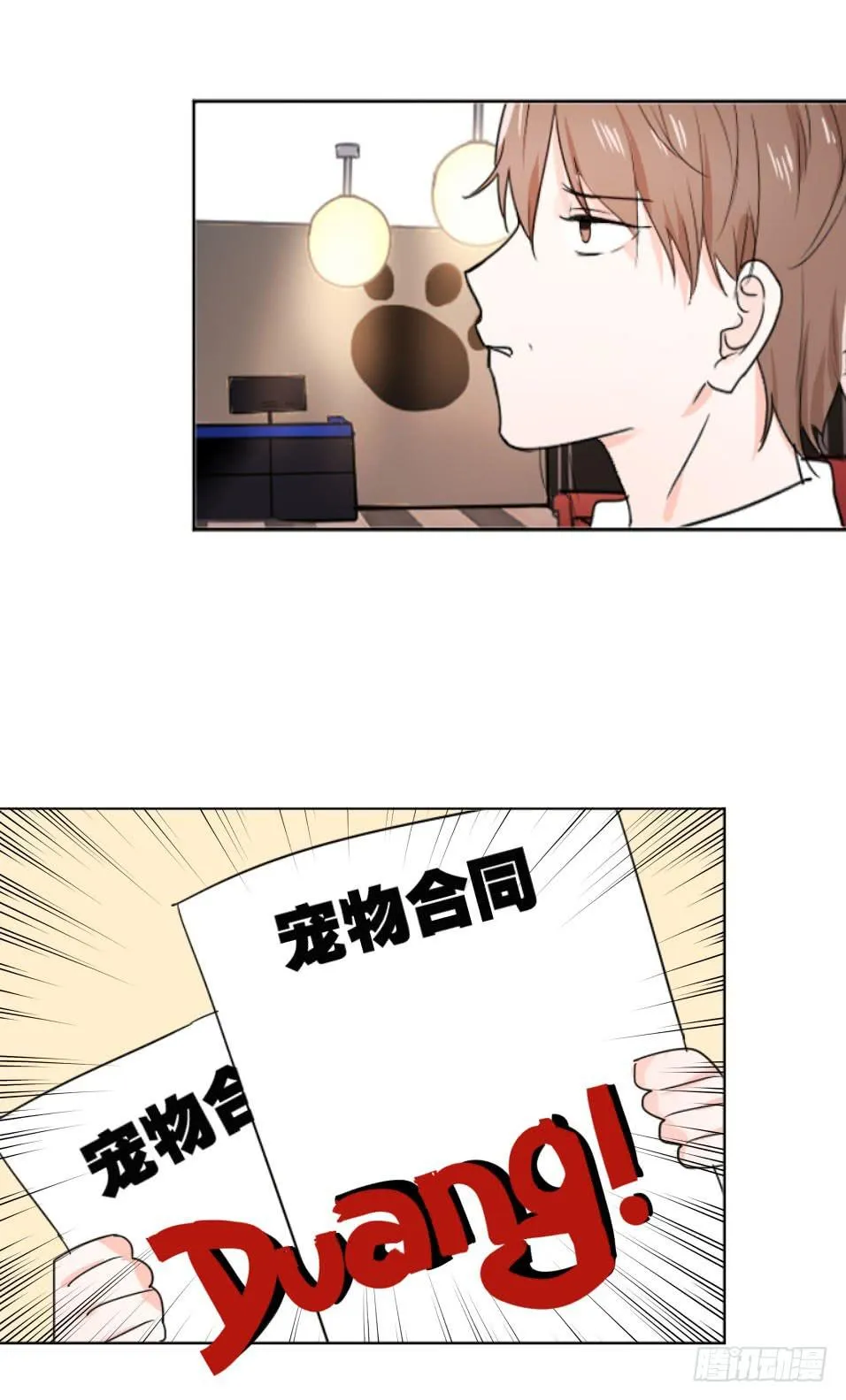 送龙猫做发布会礼物?! 第2页