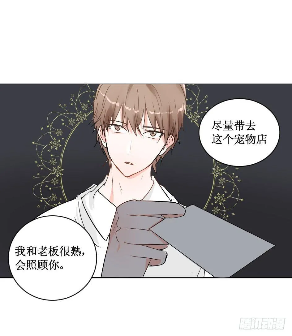 送龙猫做发布会礼物?! 第14页