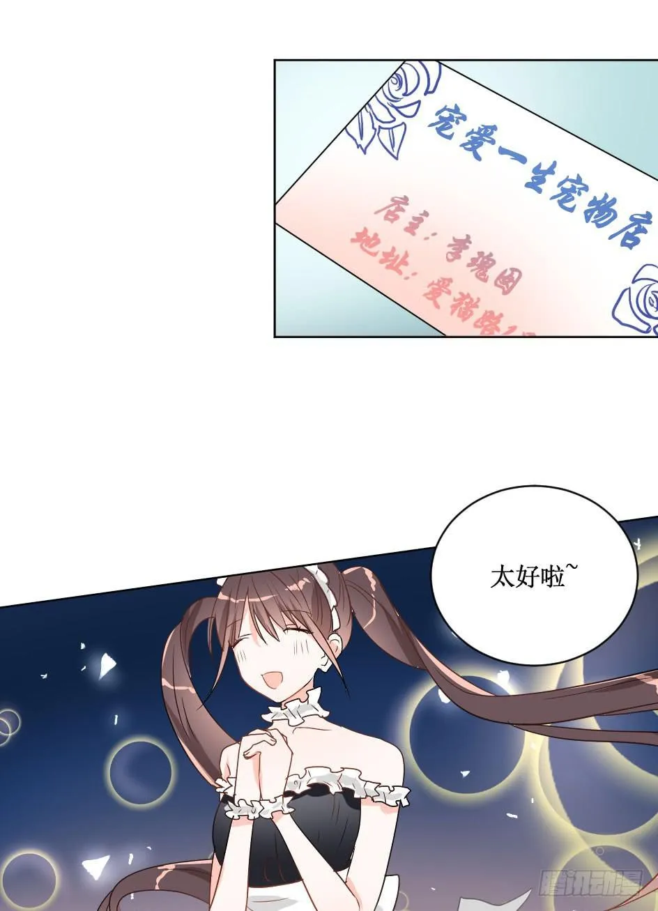 送龙猫做发布会礼物?! 第15页