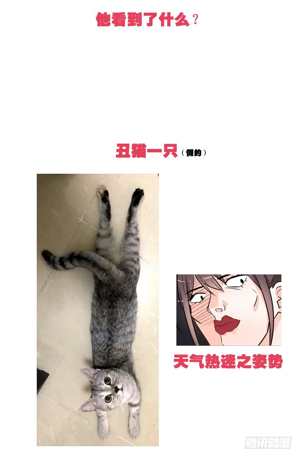 送龙猫做发布会礼物?! 第30页