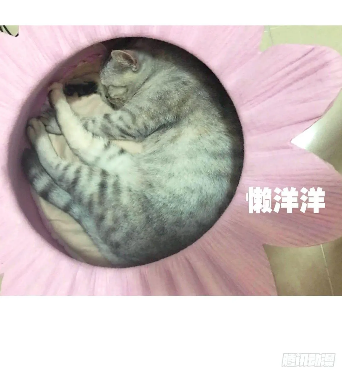 他看到了什么? 第30页