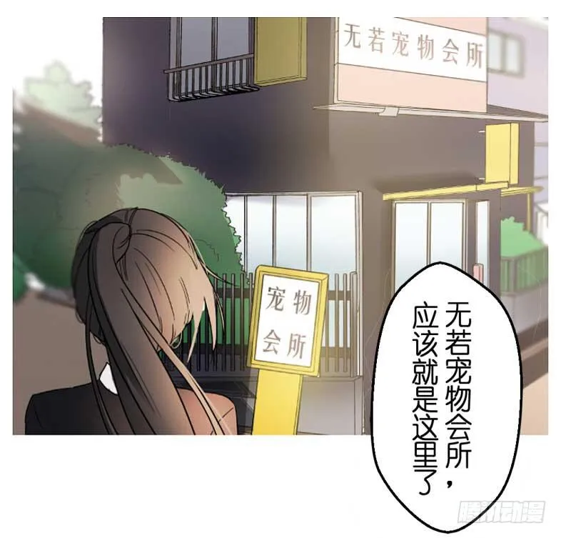 主人与宠物的精神交流? 第19页