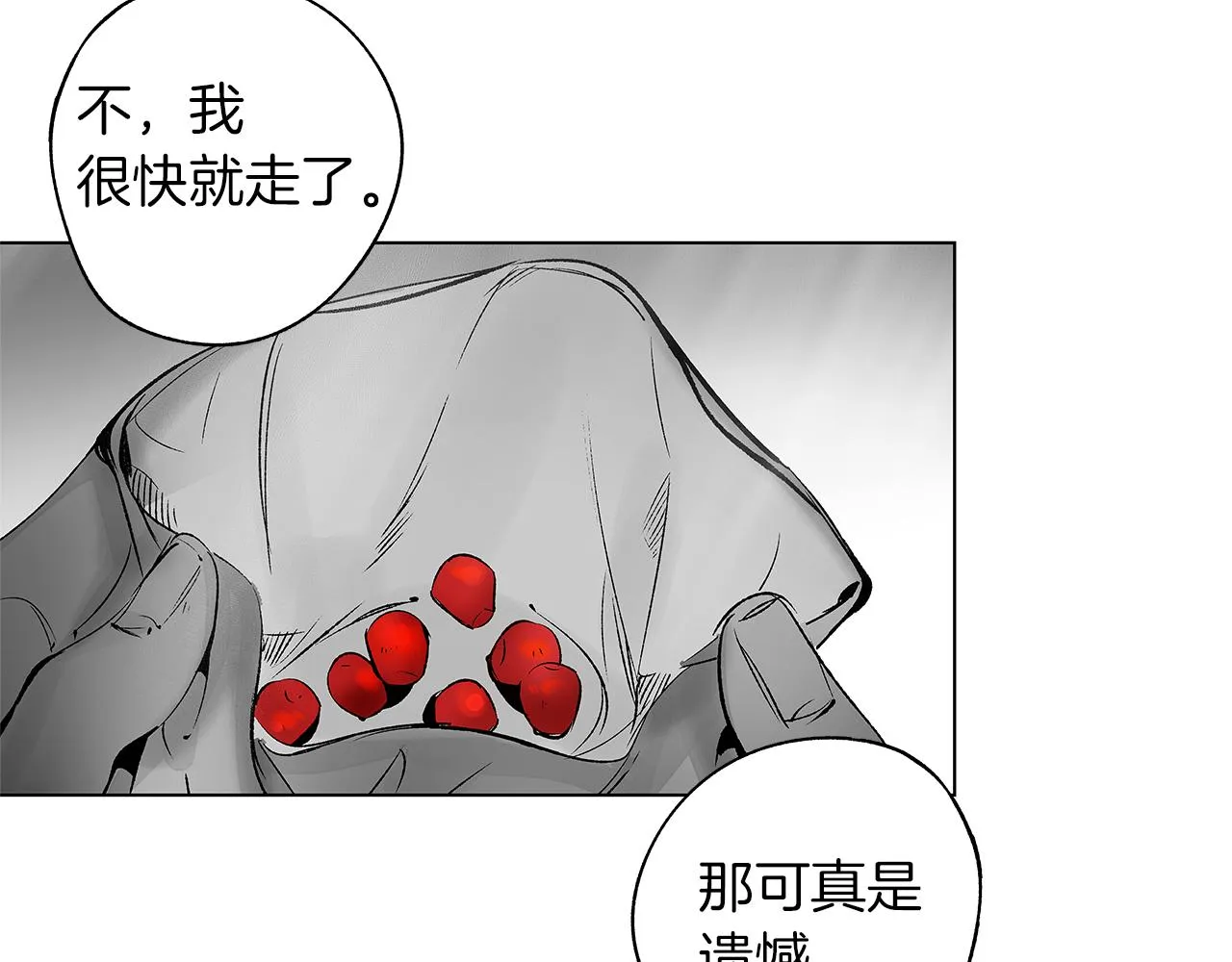 番外一 一个人的逃亡 第43页