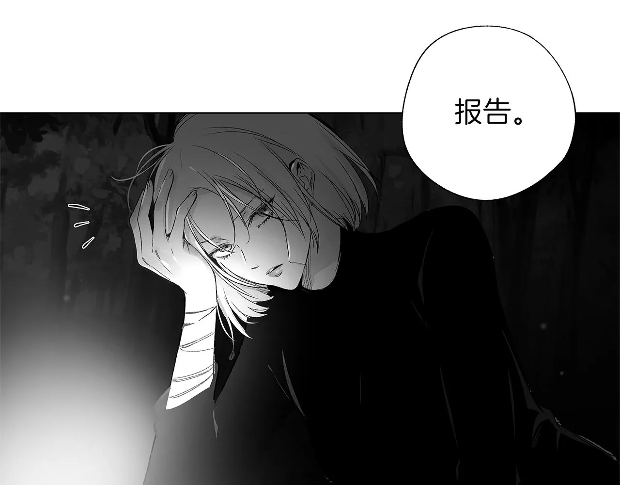 第63话 调虎离山 第30页
