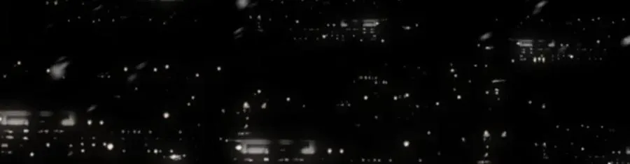 完结篇 爱意永存 第110页