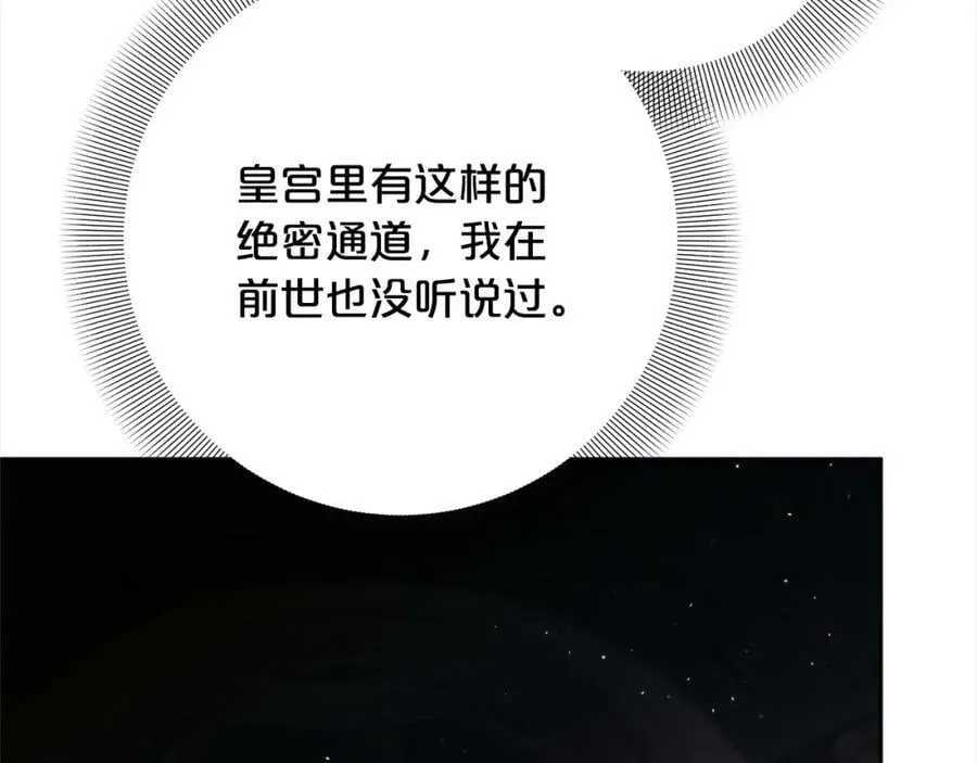 第107话 秘密谈话 第28页