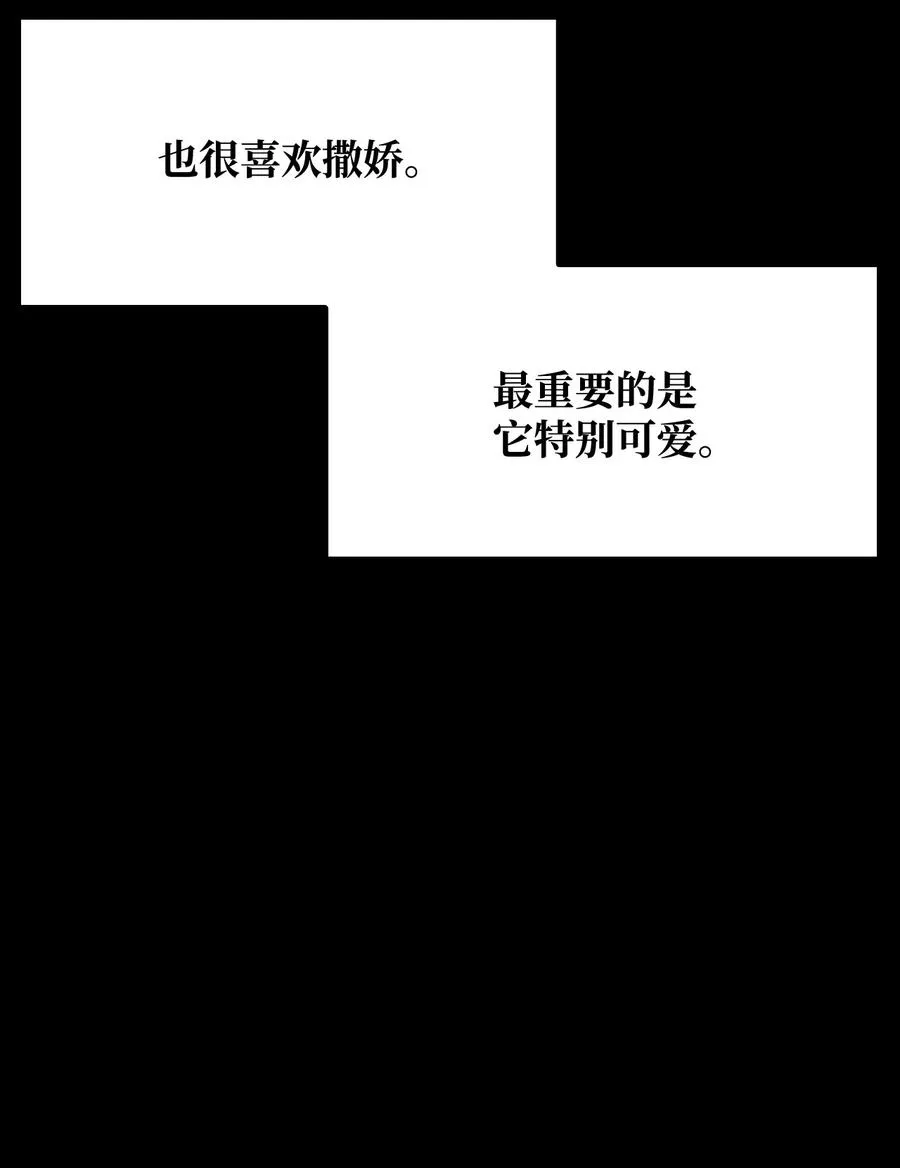 46 宠物杀手 第24页