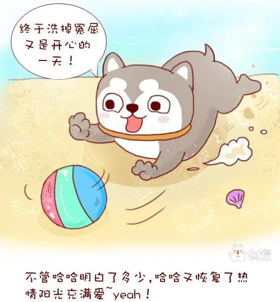 第11话 第17页