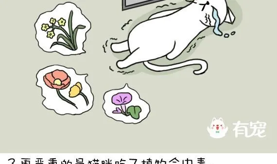 第12话 第5页