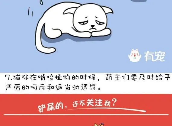 第12话 第11页