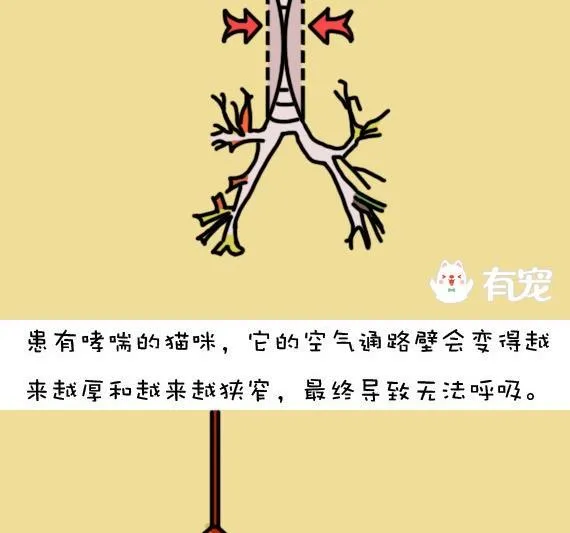 第16话 第10页