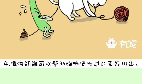 第19话 第7页