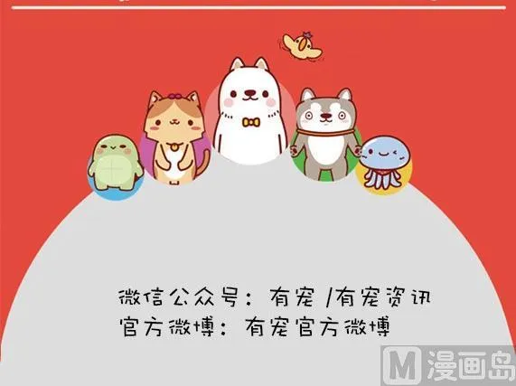 第28话 第12页