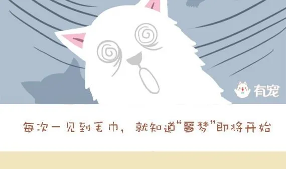 第29话 第2页