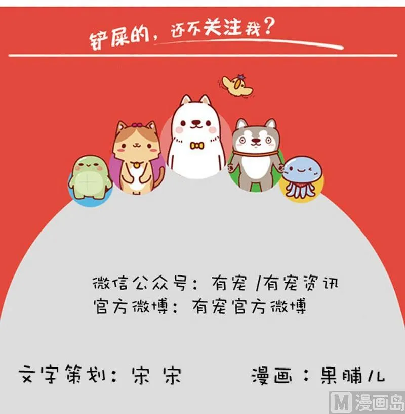 第36话 第12页