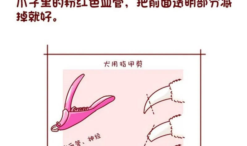 第39话 第7页