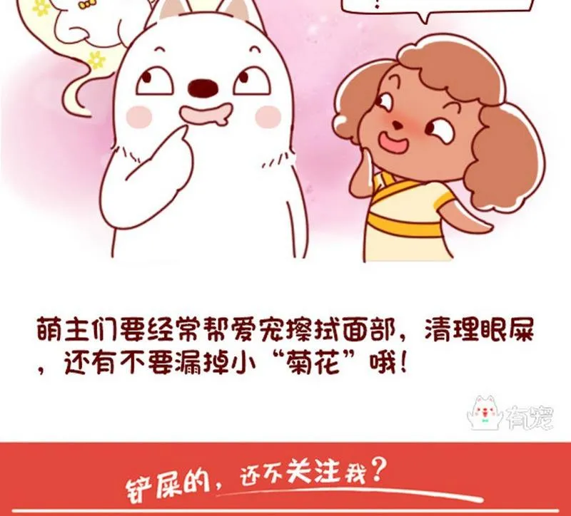 第41话 第8页