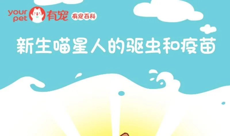 第46话 第1页
