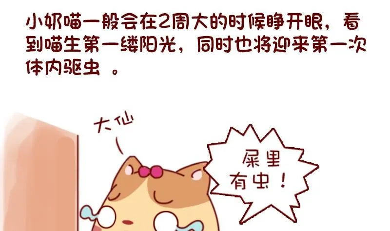 第46话 第5页
