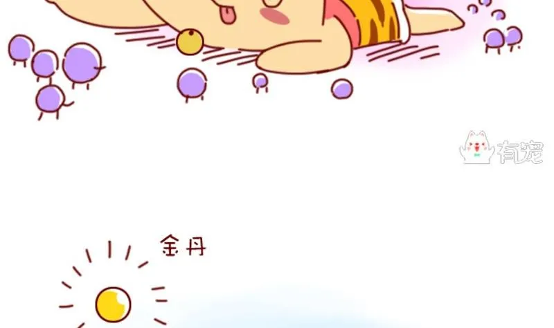 第46话 第10页