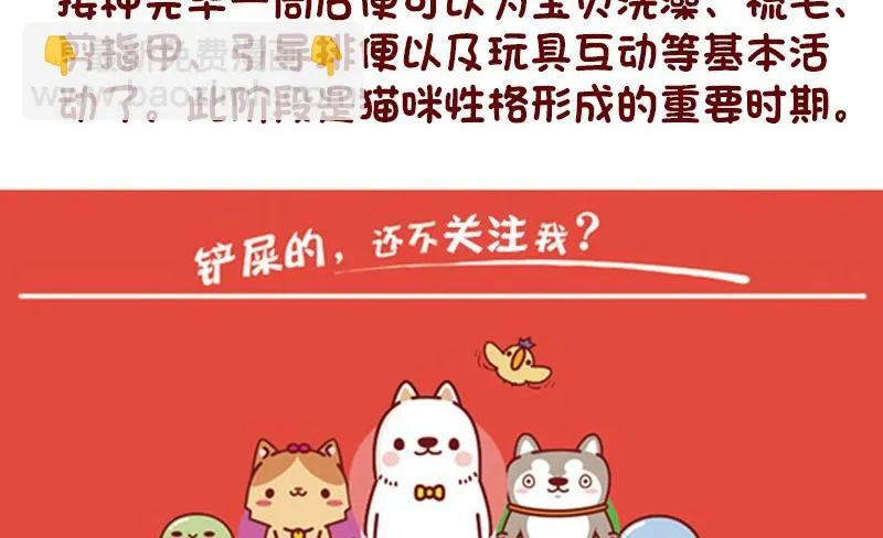 第46话 第17页