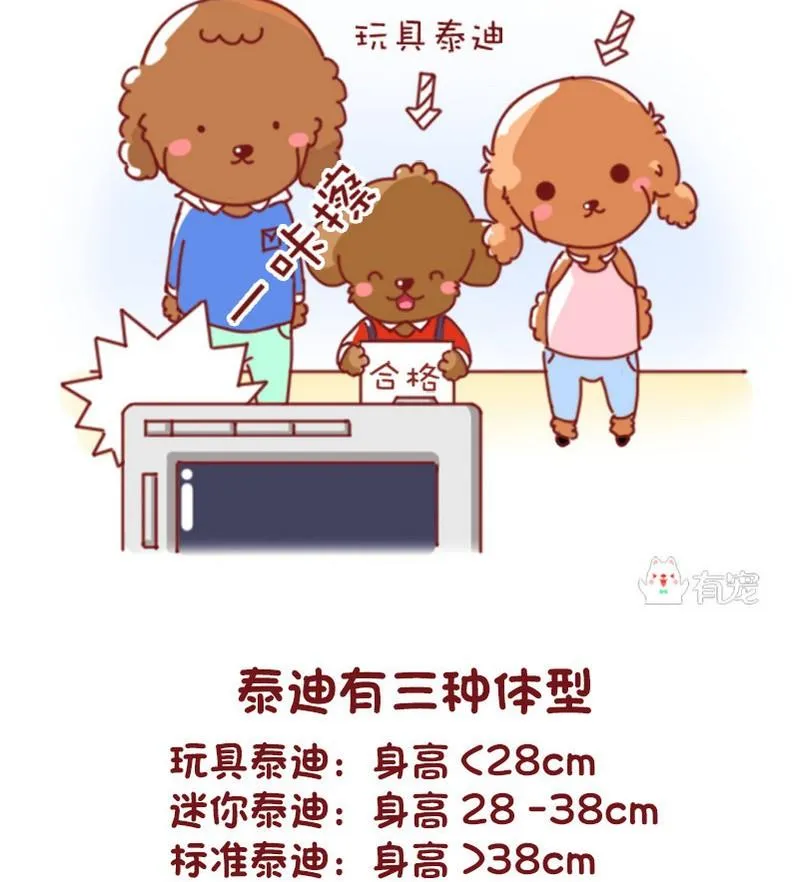 第48话 第8页
