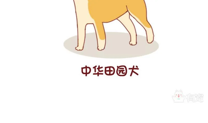 第52话 第10页